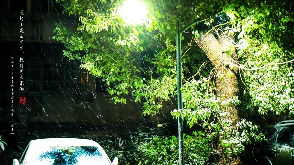 飞起玉龙三百万，搅得周天寒彻。