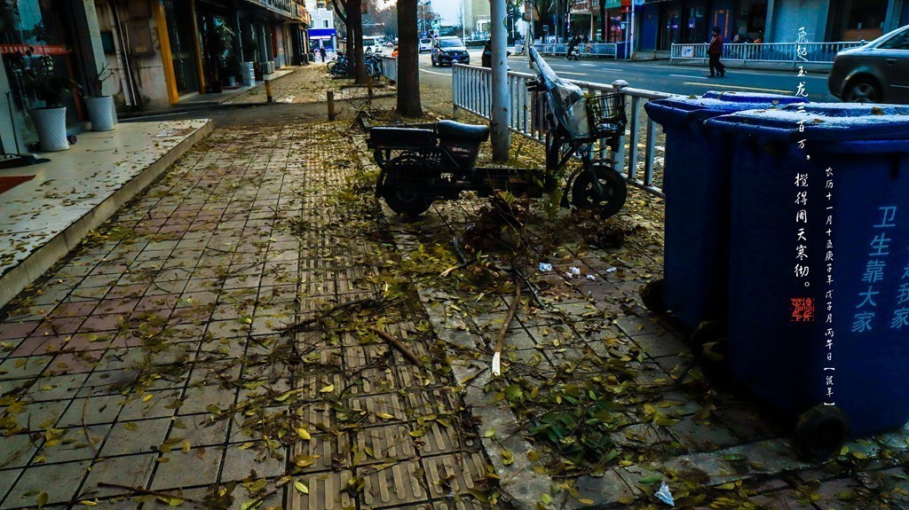 飞起玉龙三百万，搅得周天寒彻。