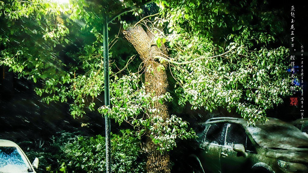 飞起玉龙三百万，搅得周天寒彻。