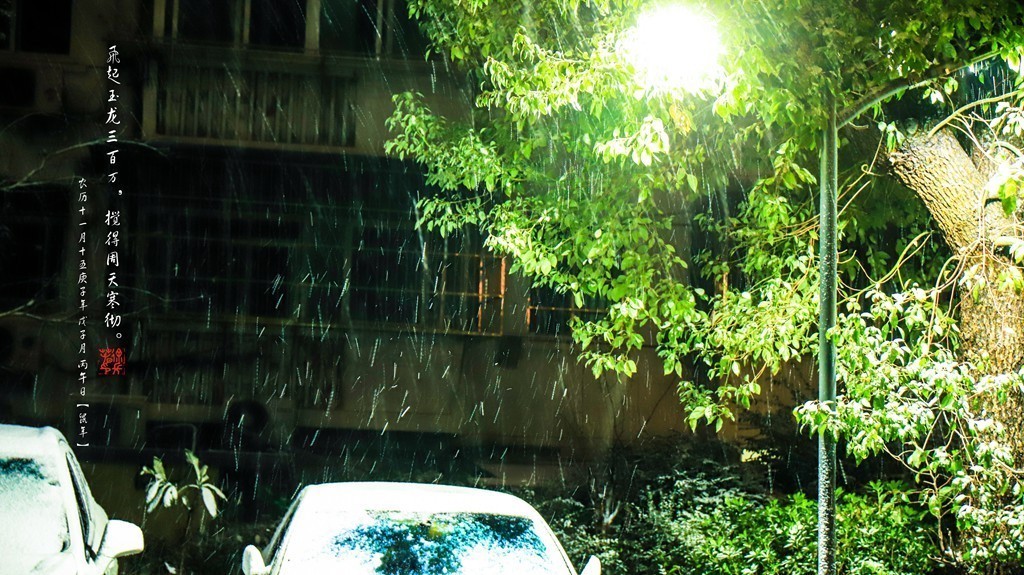 飞起玉龙三百万，搅得周天寒彻。