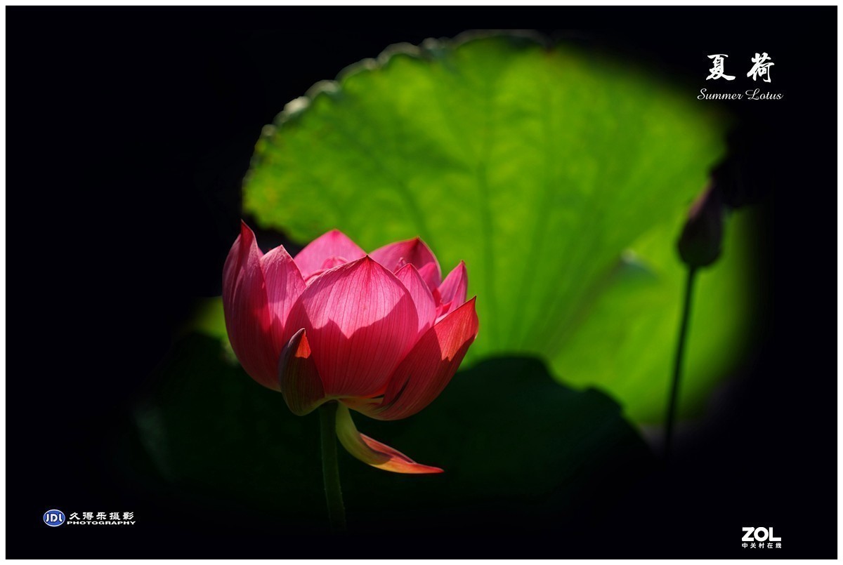 #版主坐堂#小五星空(中国)2021年7月精品荟萃