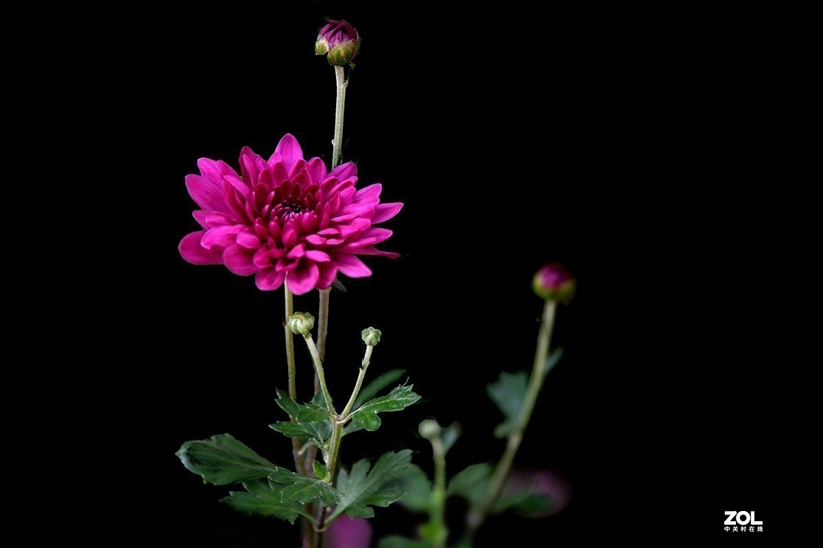 #版主坐堂#小五星空(中国)2021年7月精品荟萃