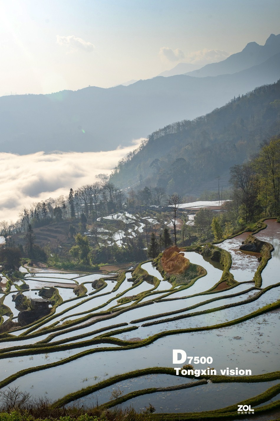 #版主坐堂#小五星空(中国)2021年7月精品荟萃