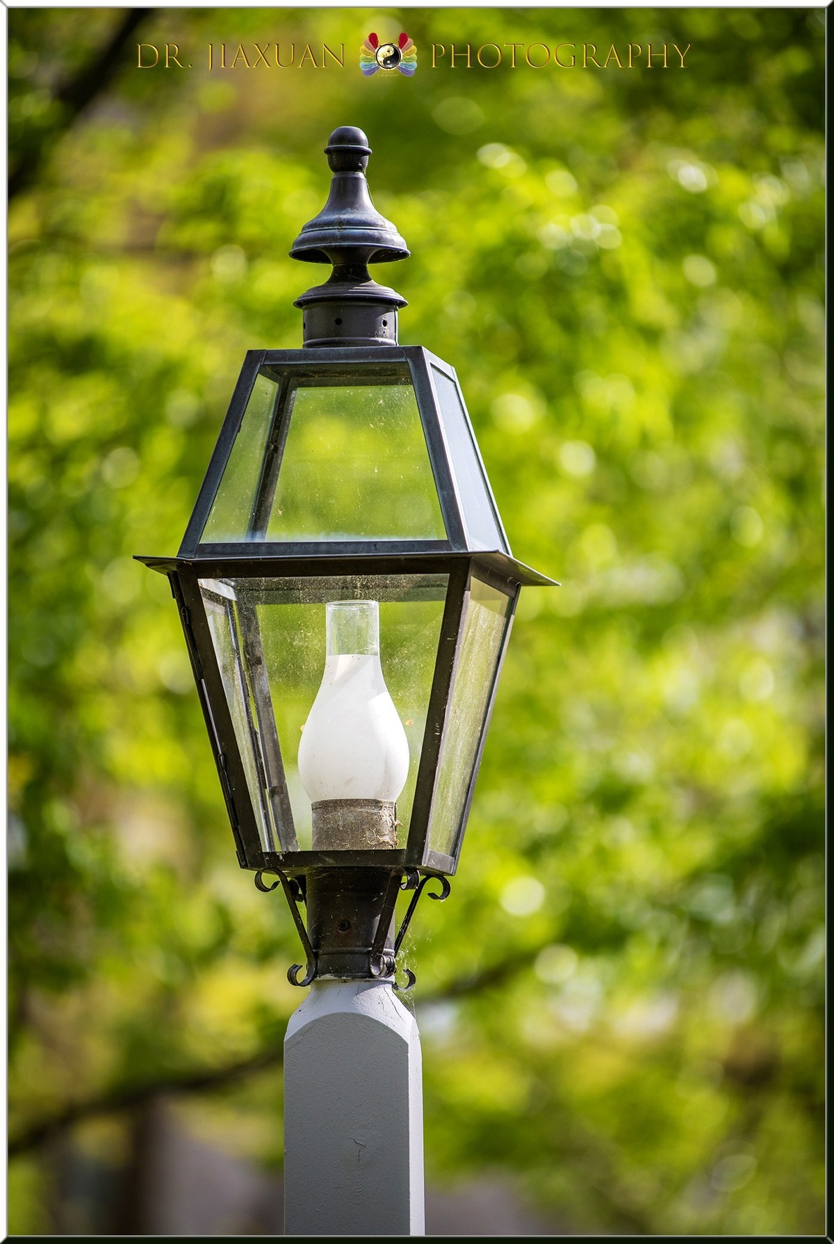 【稼轩摄影】新入尼康70-200电磁版试镜-之二！