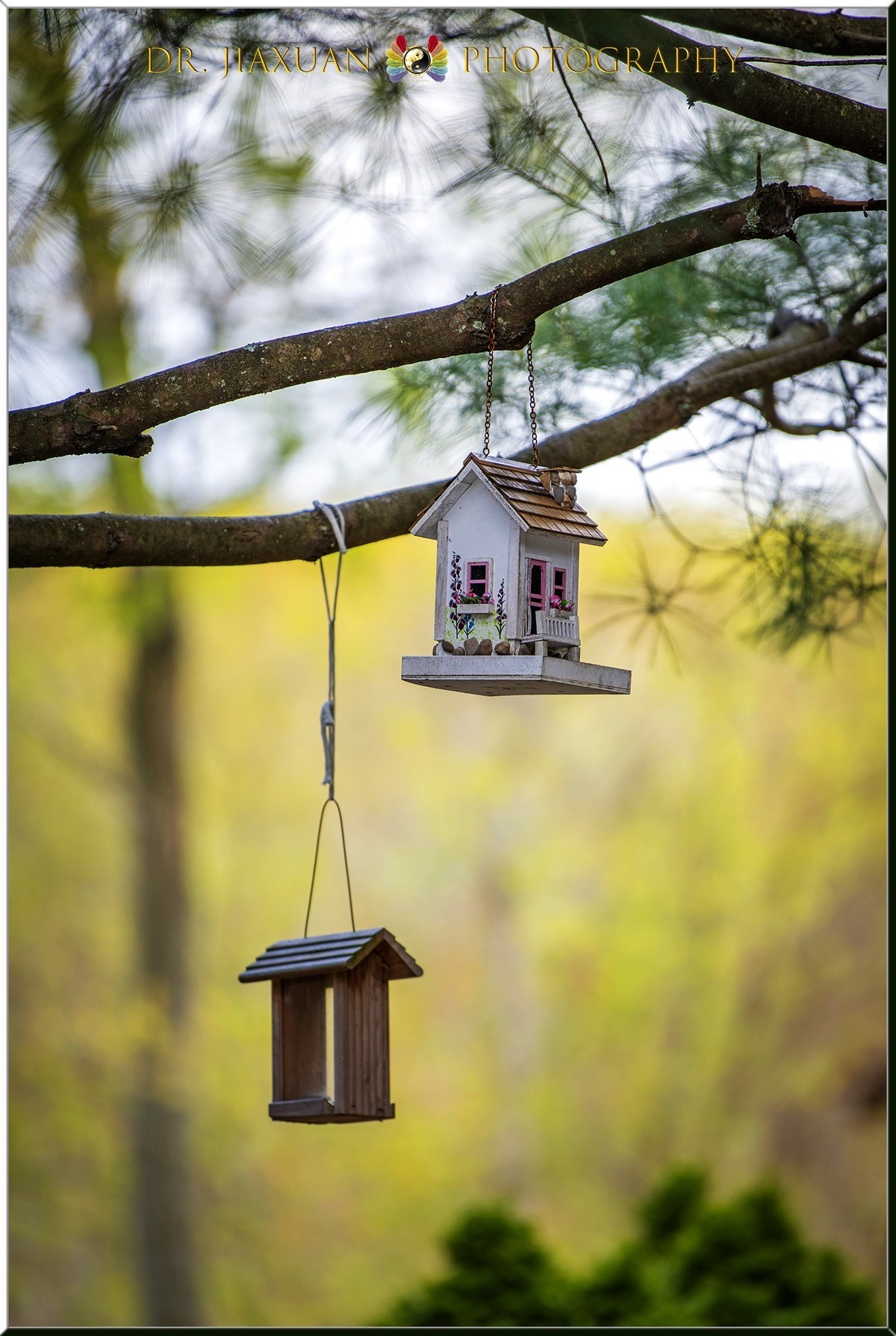 【稼轩摄影】新入尼康70-200电磁版试镜-之二！