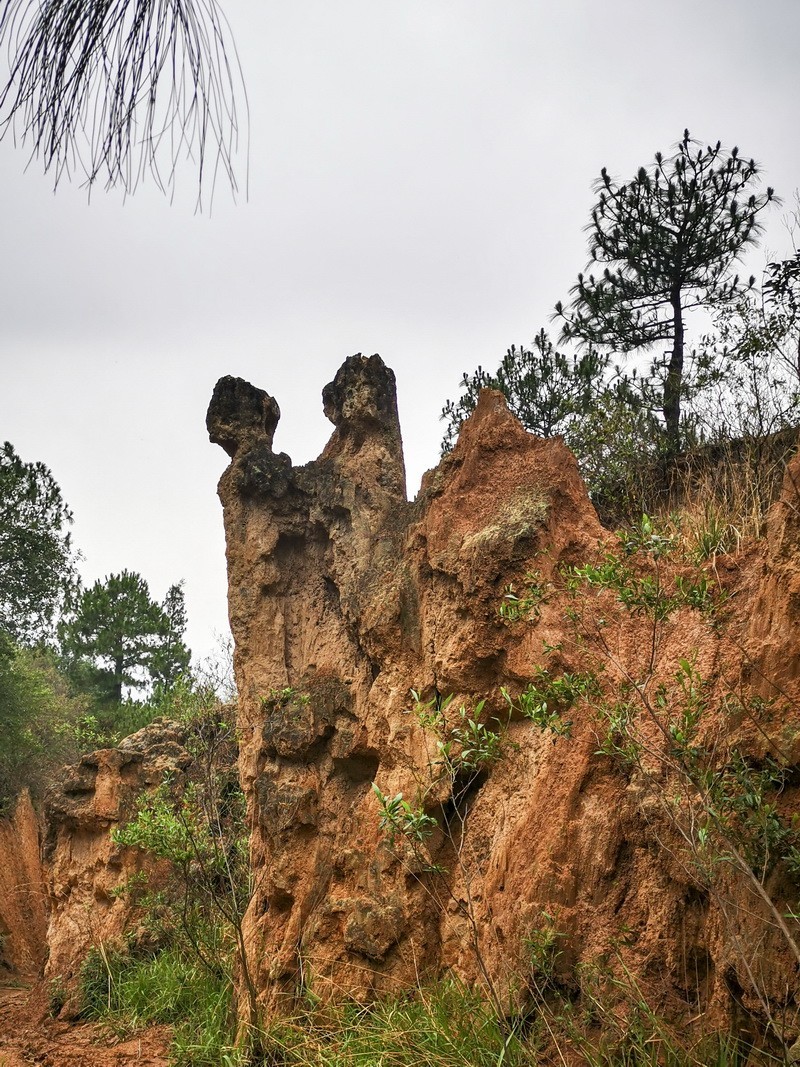 手机版一西昌黄联土林