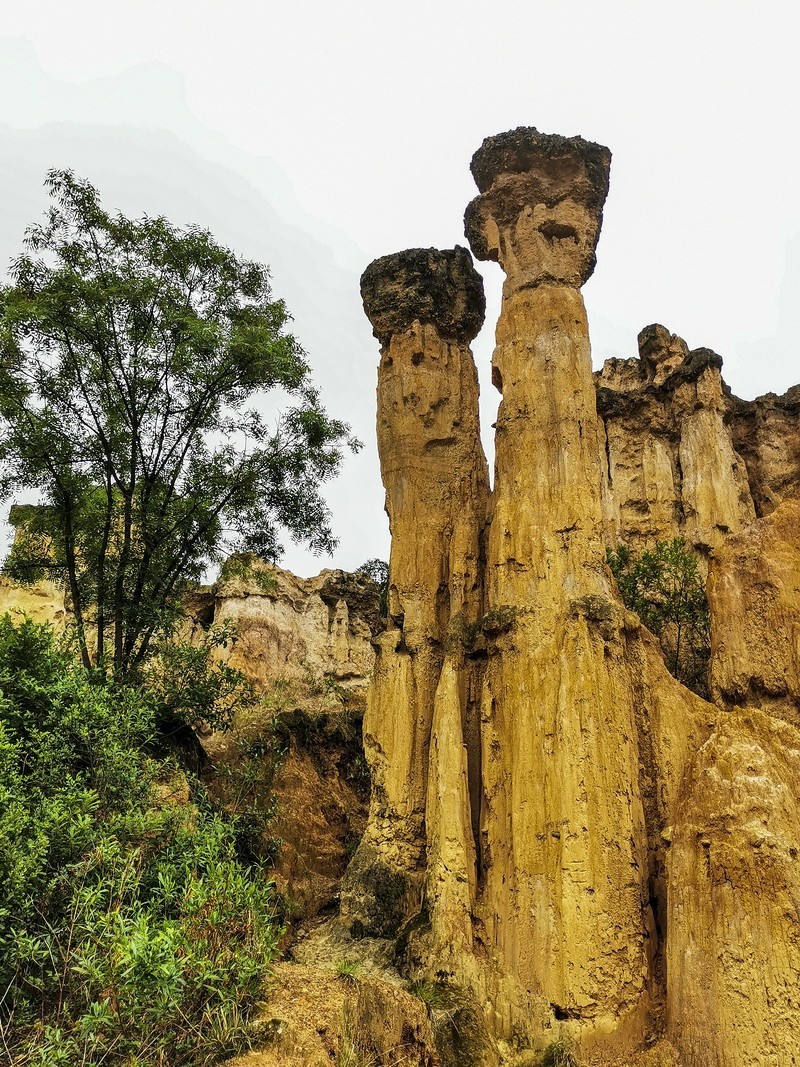 手机版一西昌黄联土林