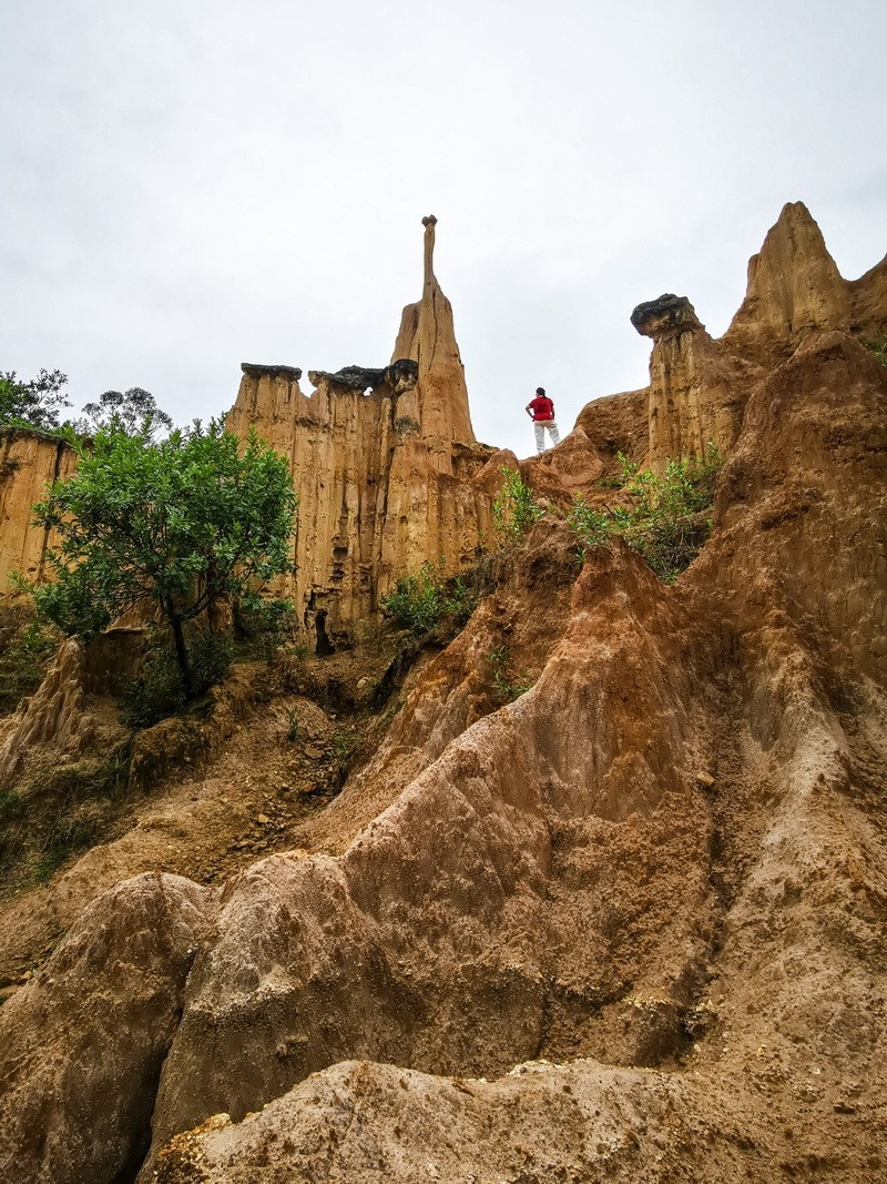 手机版一西昌黄联土林