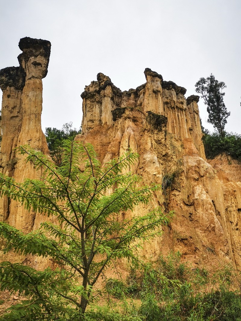 手机版一西昌黄联土林