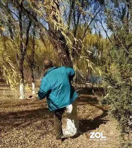 请注意文明拍鸟，我在盯着你呢！