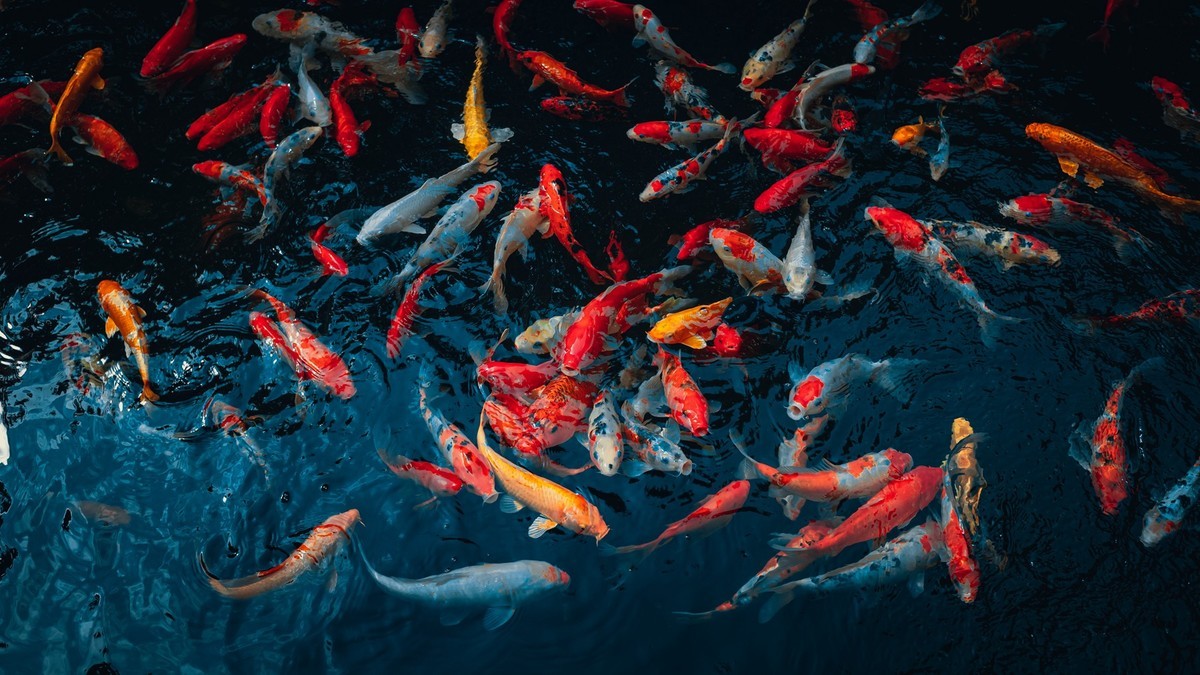 原创：LR（ ACR ）调色交流。