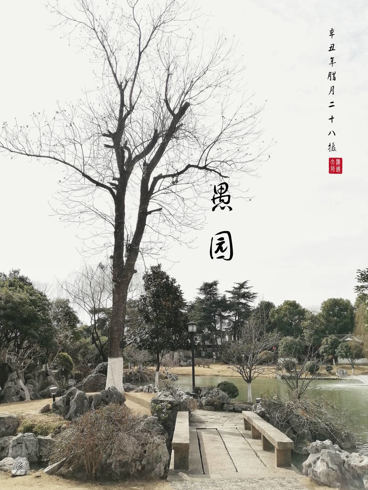 蜂恋花（虞美人）
