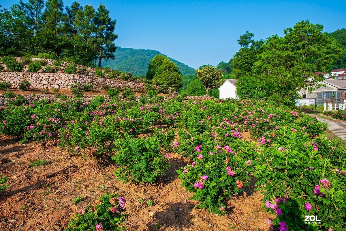 南京浦口老山响堂桃源谷