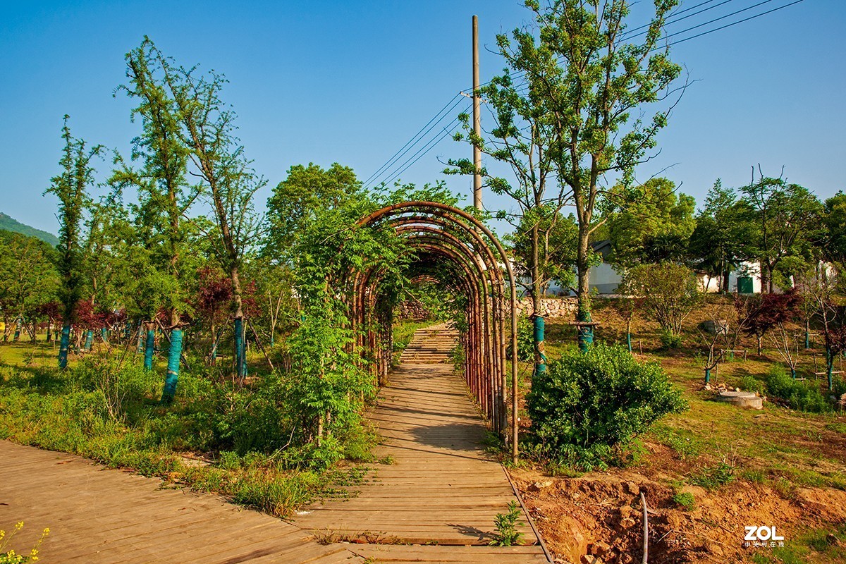 南京浦口老山响堂桃源谷