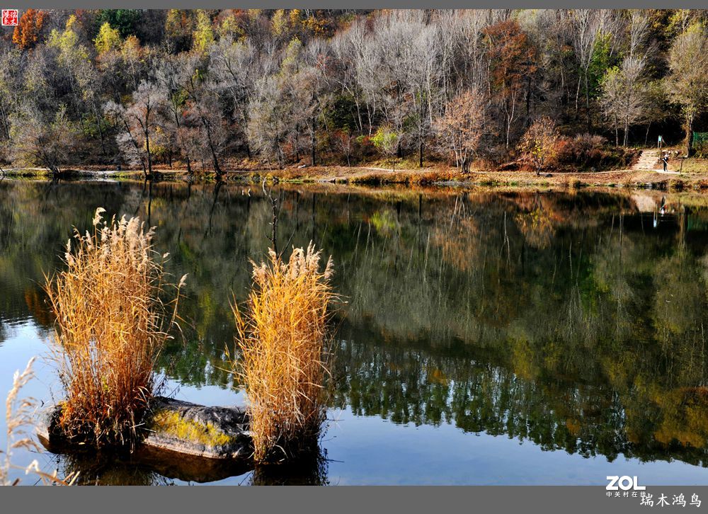 【寻秋记】秋语呢喃话玉渡