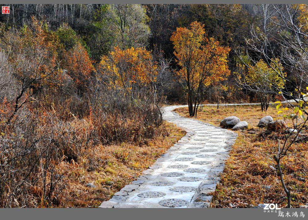 【寻秋记】秋语呢喃话玉渡