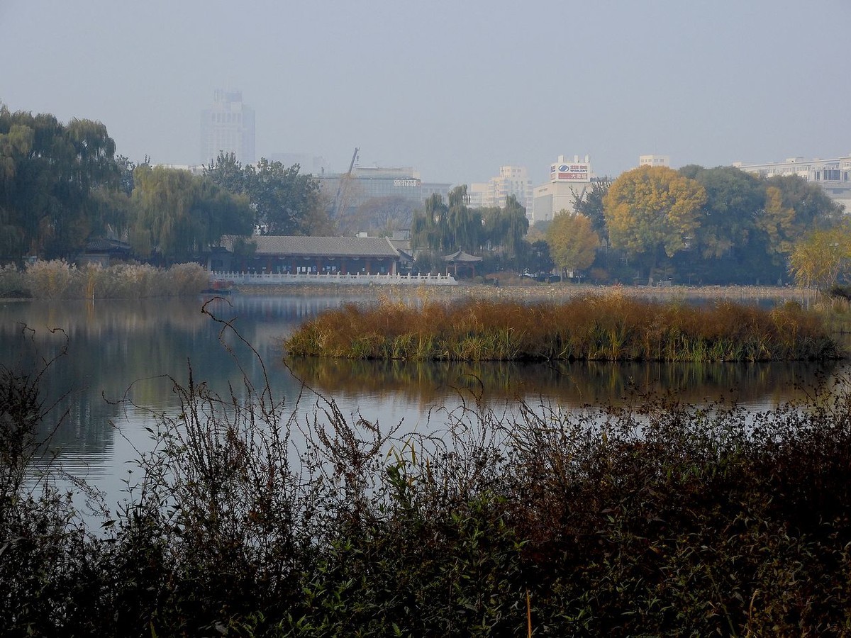 城 市 湿 地 秋 色-------。