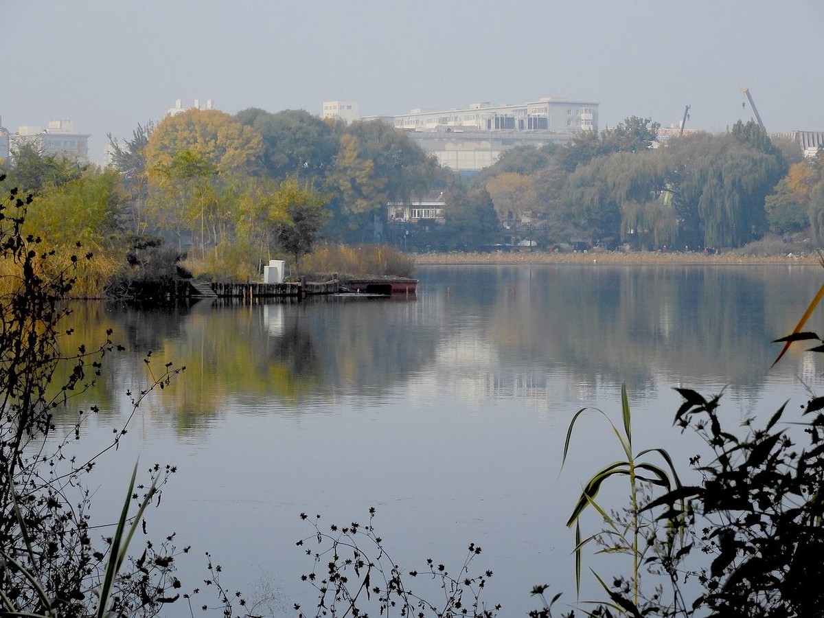 城 市 湿 地 秋 色-------。