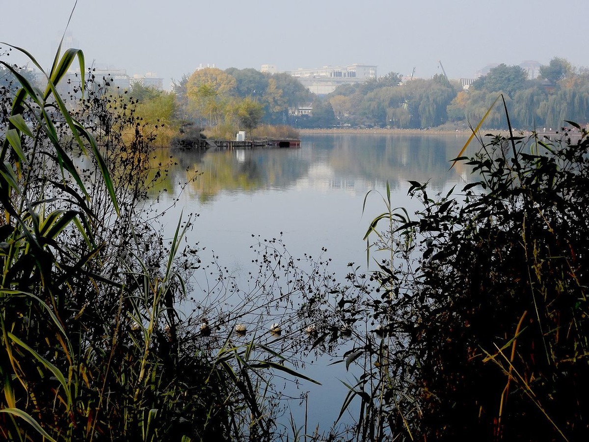 城 市 湿 地 秋 色-------。