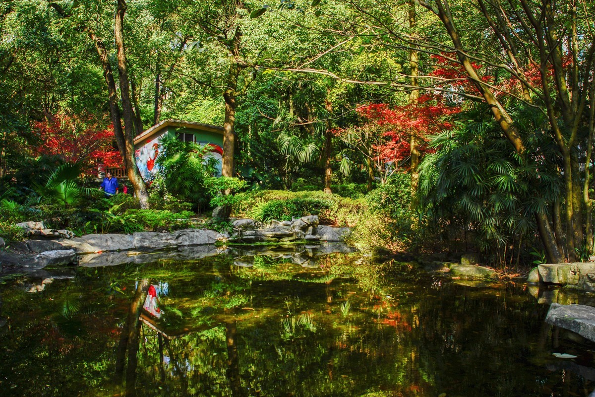 A77+美能达AF721和24105镜头闲拍重庆西郊公园