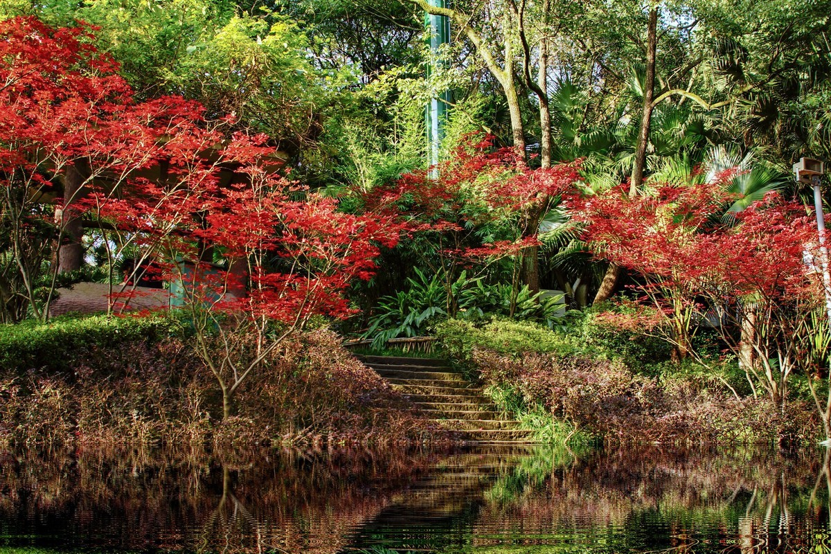 A77+美能达AF721和24105镜头闲拍重庆西郊公园