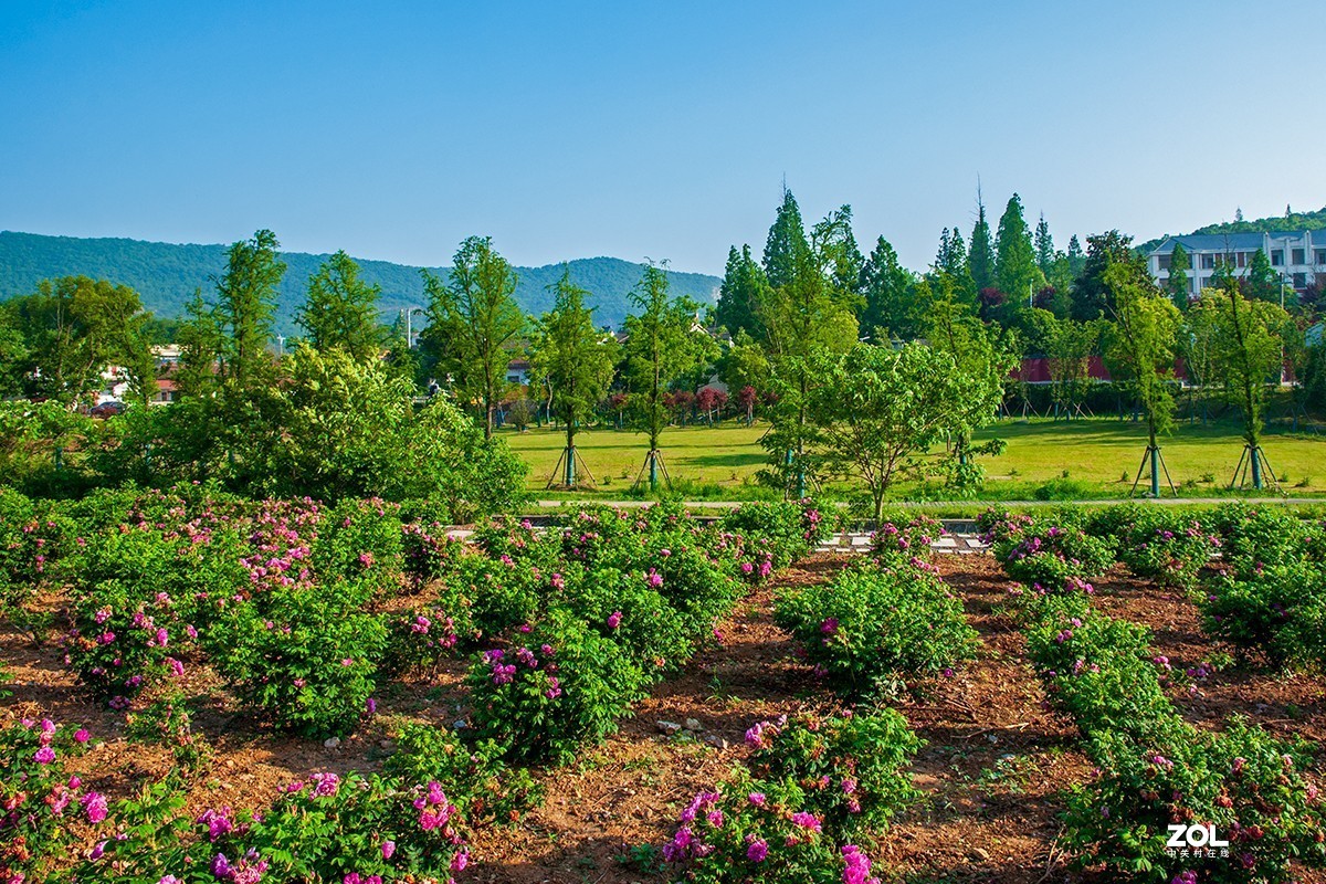 南京浦口老山响堂桃源谷
