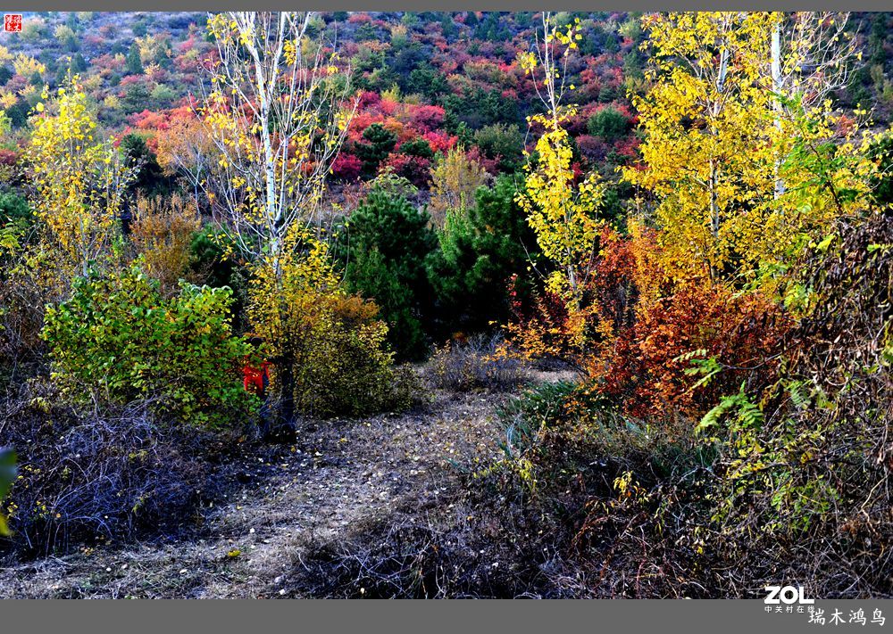 【寻秋记】秋语呢喃话玉渡