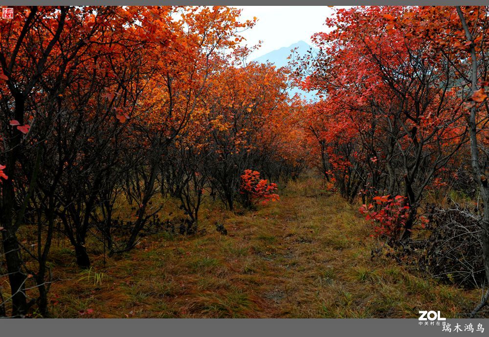 【寻秋记】秋语呢喃话玉渡