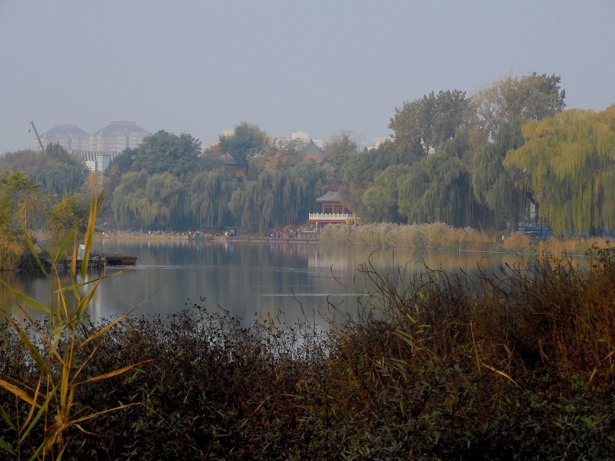 城 市 湿 地 秋 色-------。