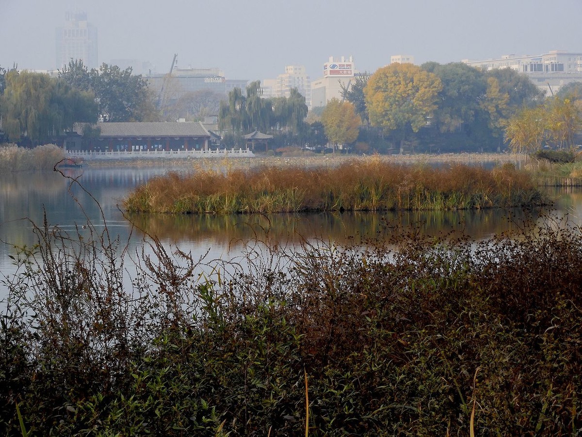 城 市 湿 地 秋 色-------。
