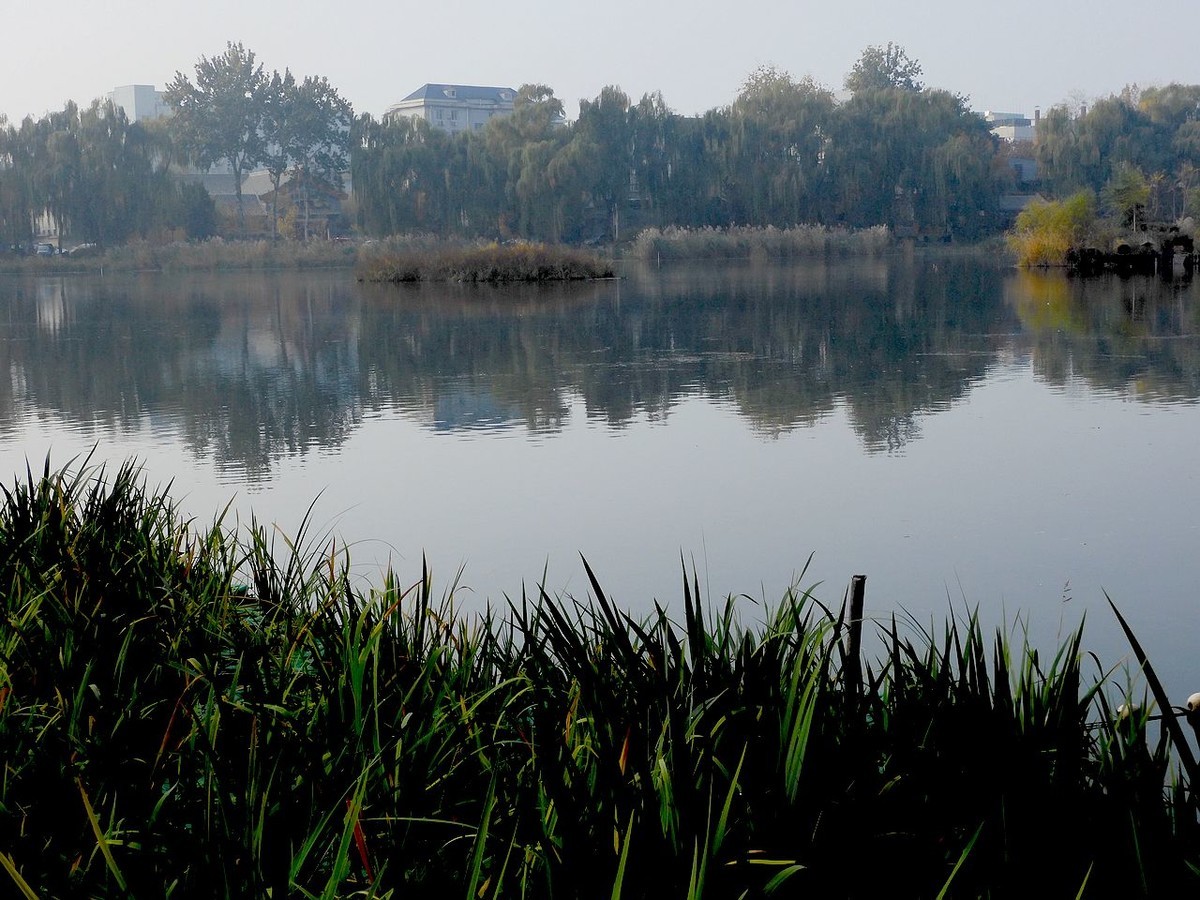 城 市 湿 地 秋 色-------。