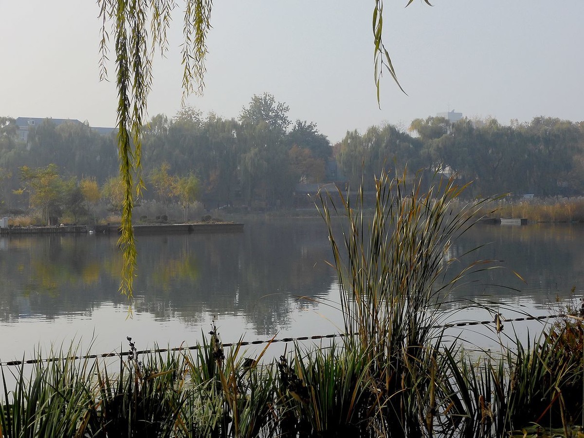 城 市 湿 地 秋 色-------。