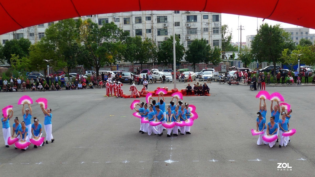 ?金秋“绽放夕阳”