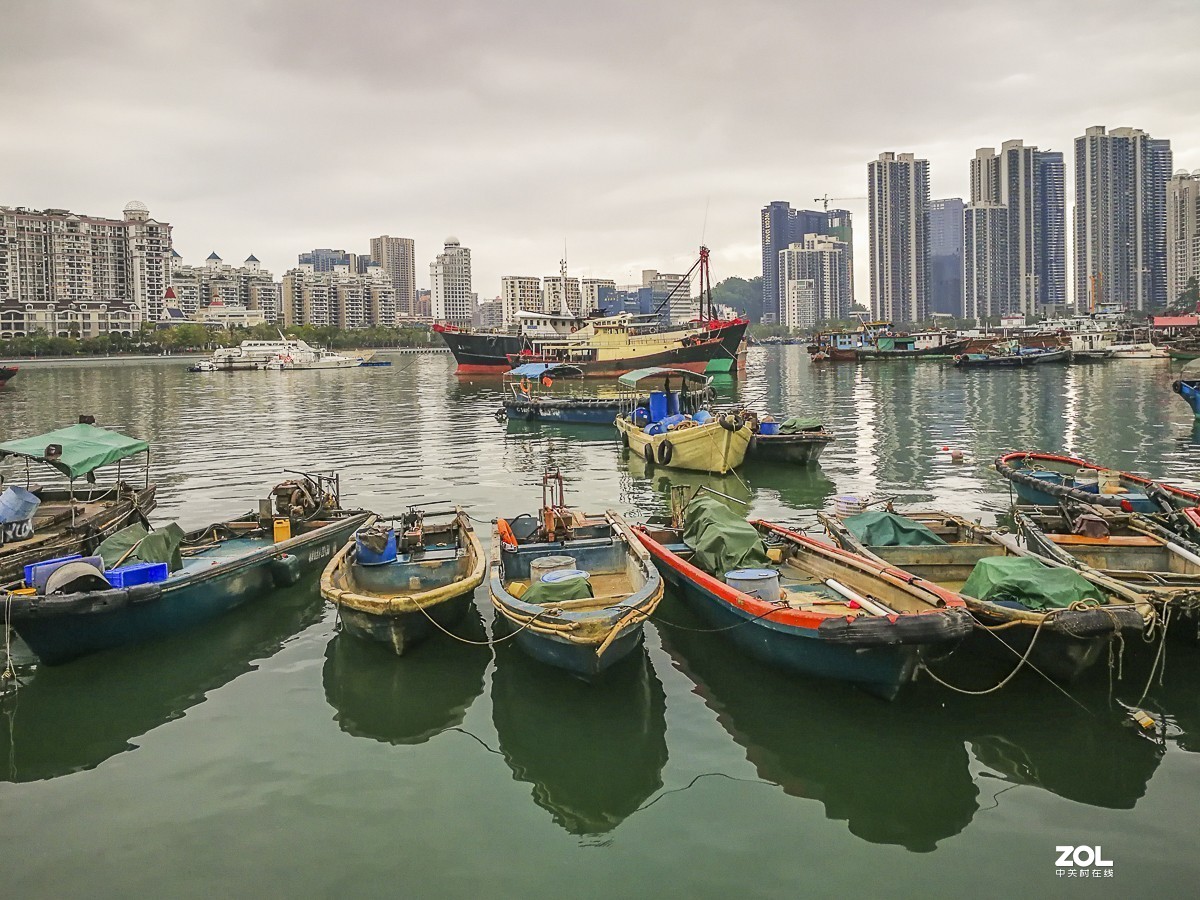 深圳蛇口渔港掠影