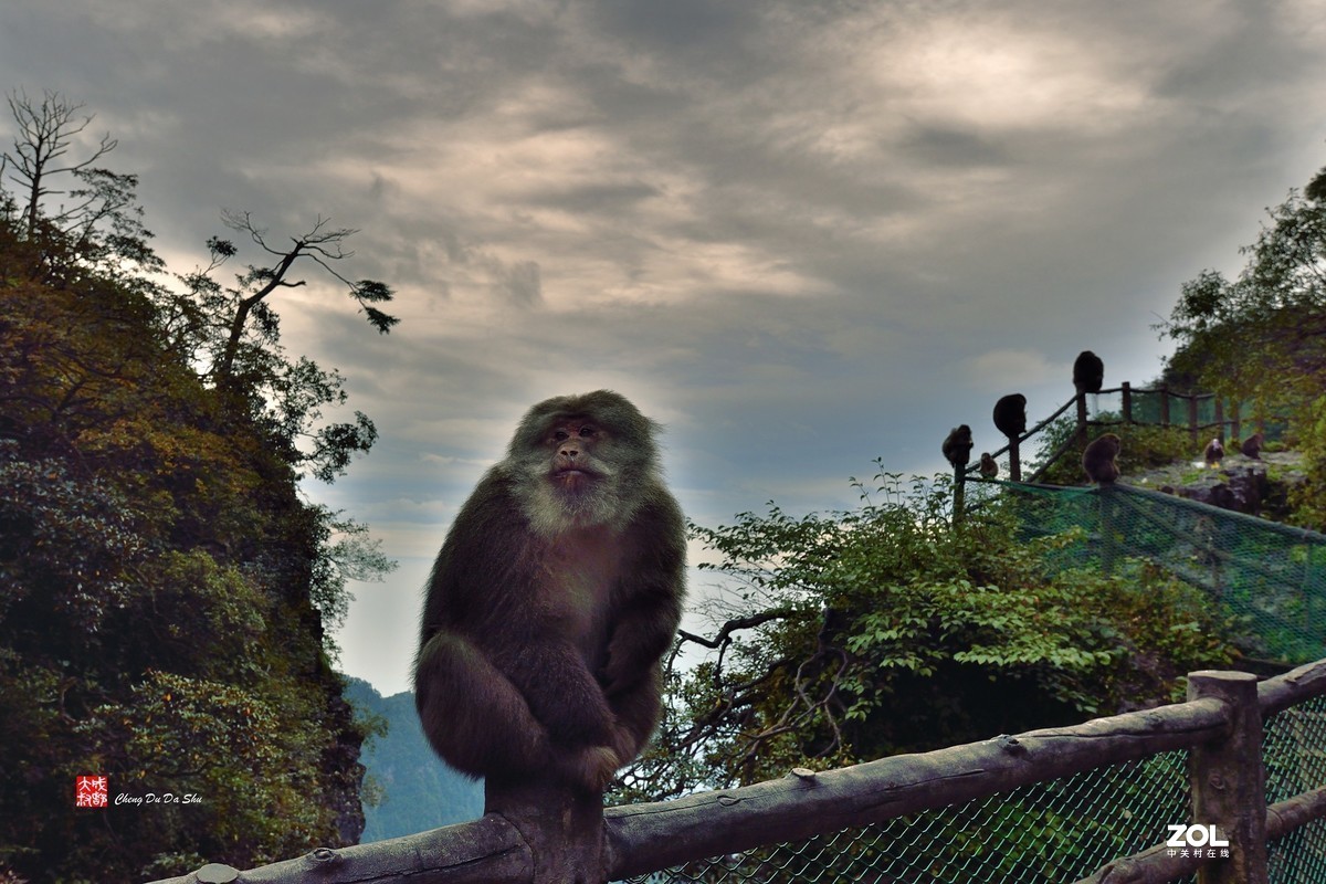 #版主坐堂#小五星空(中国)2020年12月精品荟萃