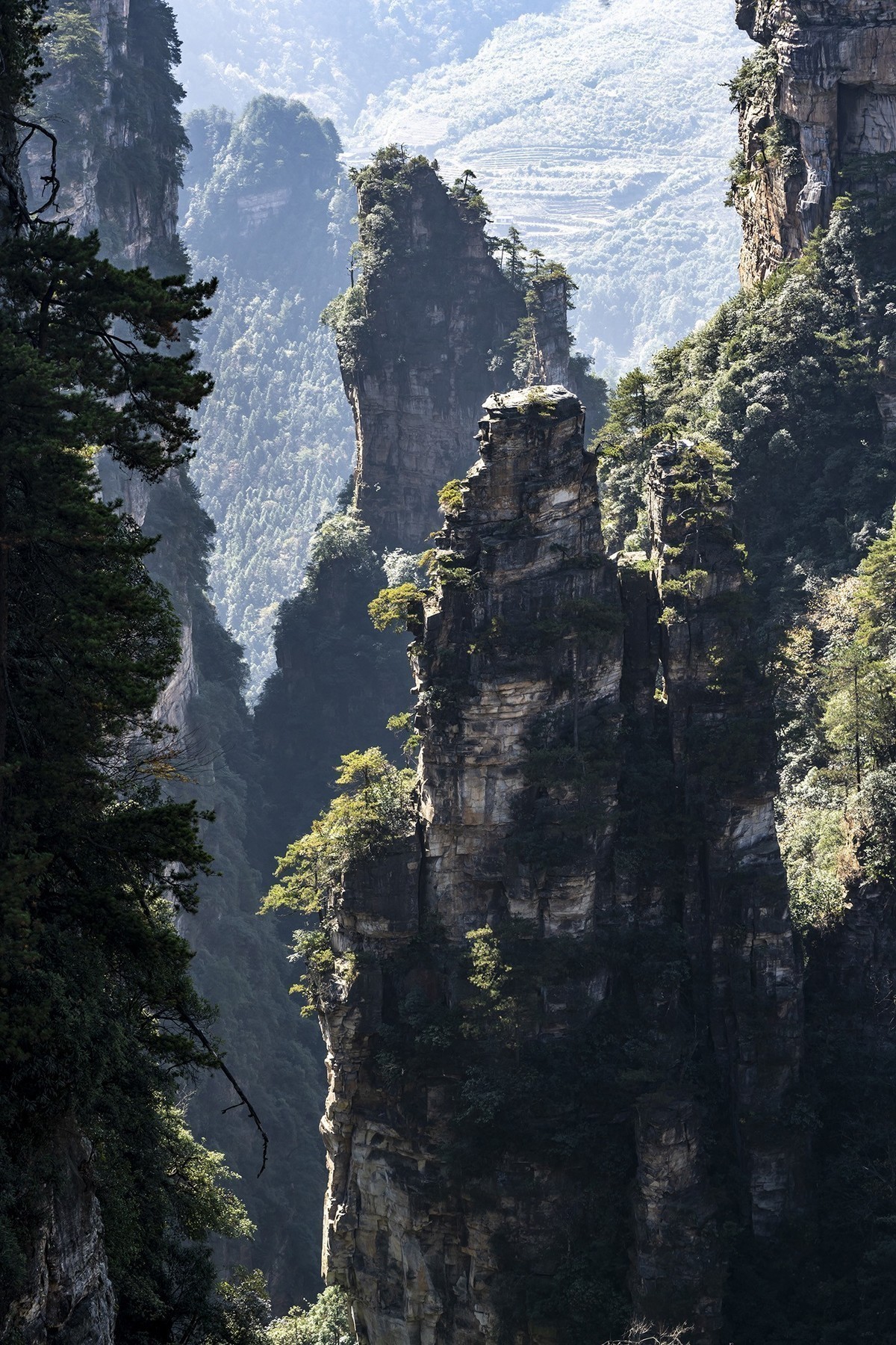 #版主坐堂#索尼大版星空(中国)2020年12月份优秀作品精选汇总