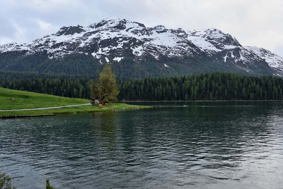#版主坐堂#索尼大版星空(中国)2020年12月份优秀作品精选汇总