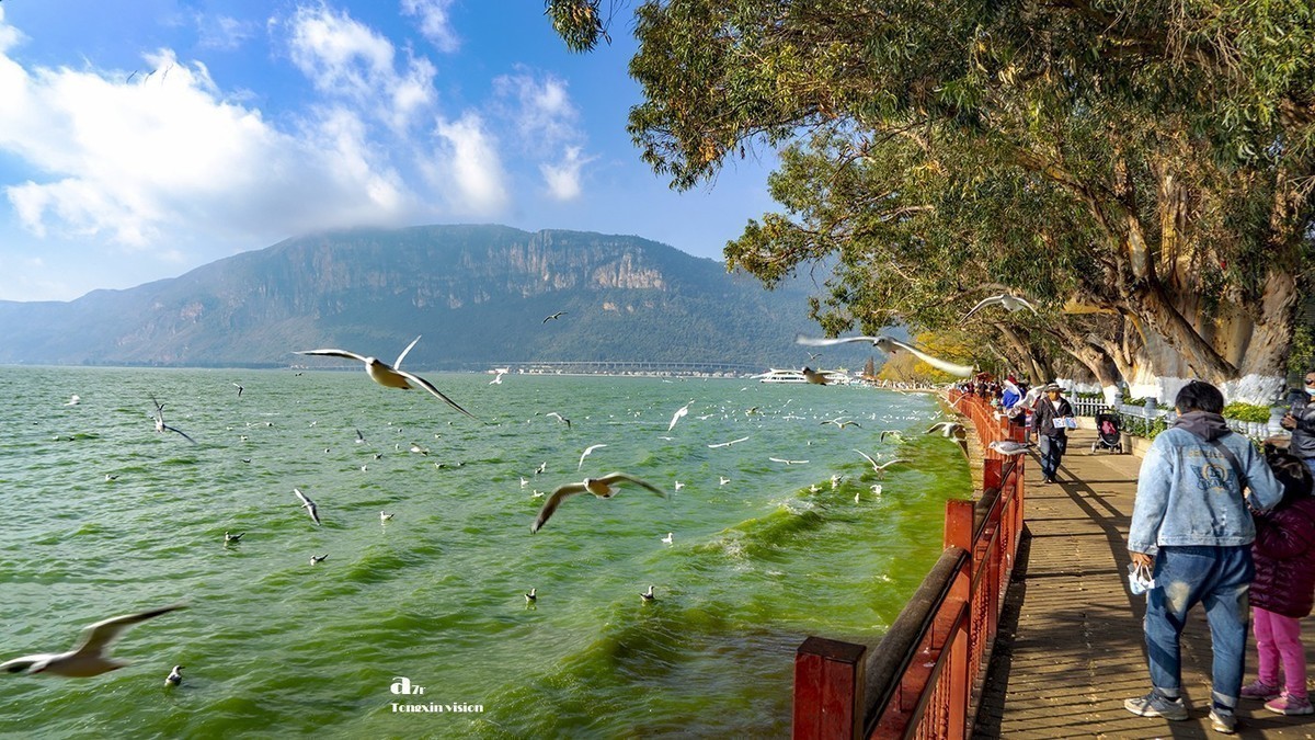 #版主坐堂#索尼大版星空(中国)2020年12月份优秀作品精选汇总