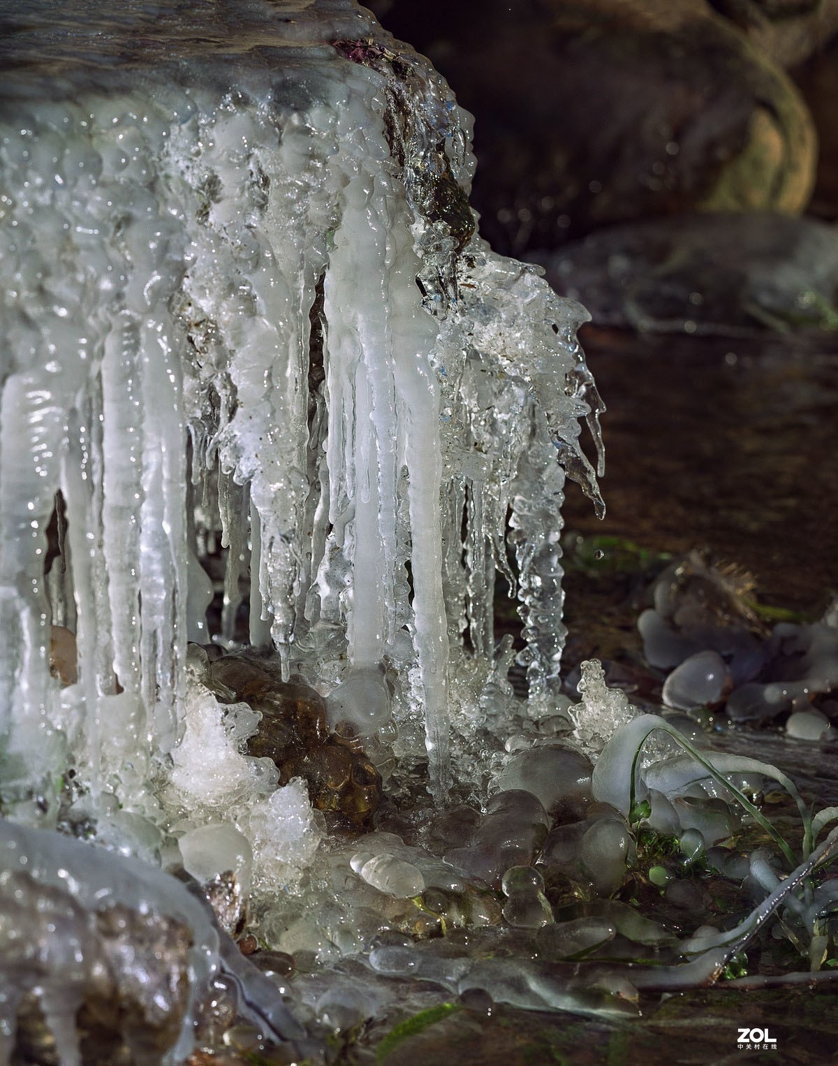 #版主坐堂#索尼大版星空(中国)2020年12月份优秀作品精选汇总