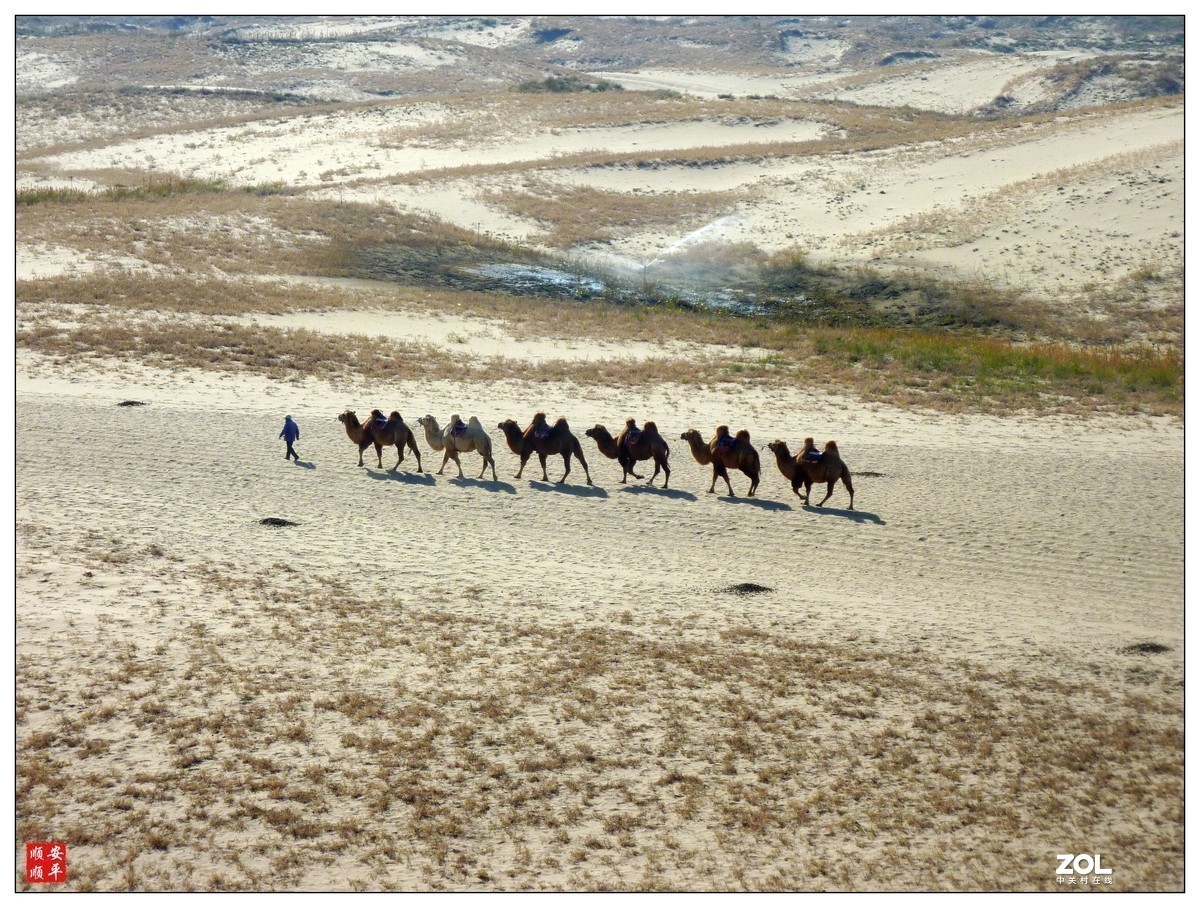 #版主坐堂#索尼大版星空(中国)2020年12月份优秀作品精选汇总