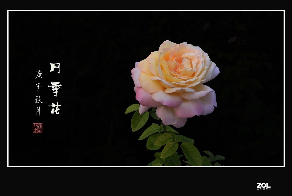 #版主坐堂#小五星空(中国)2020年12月精品荟萃