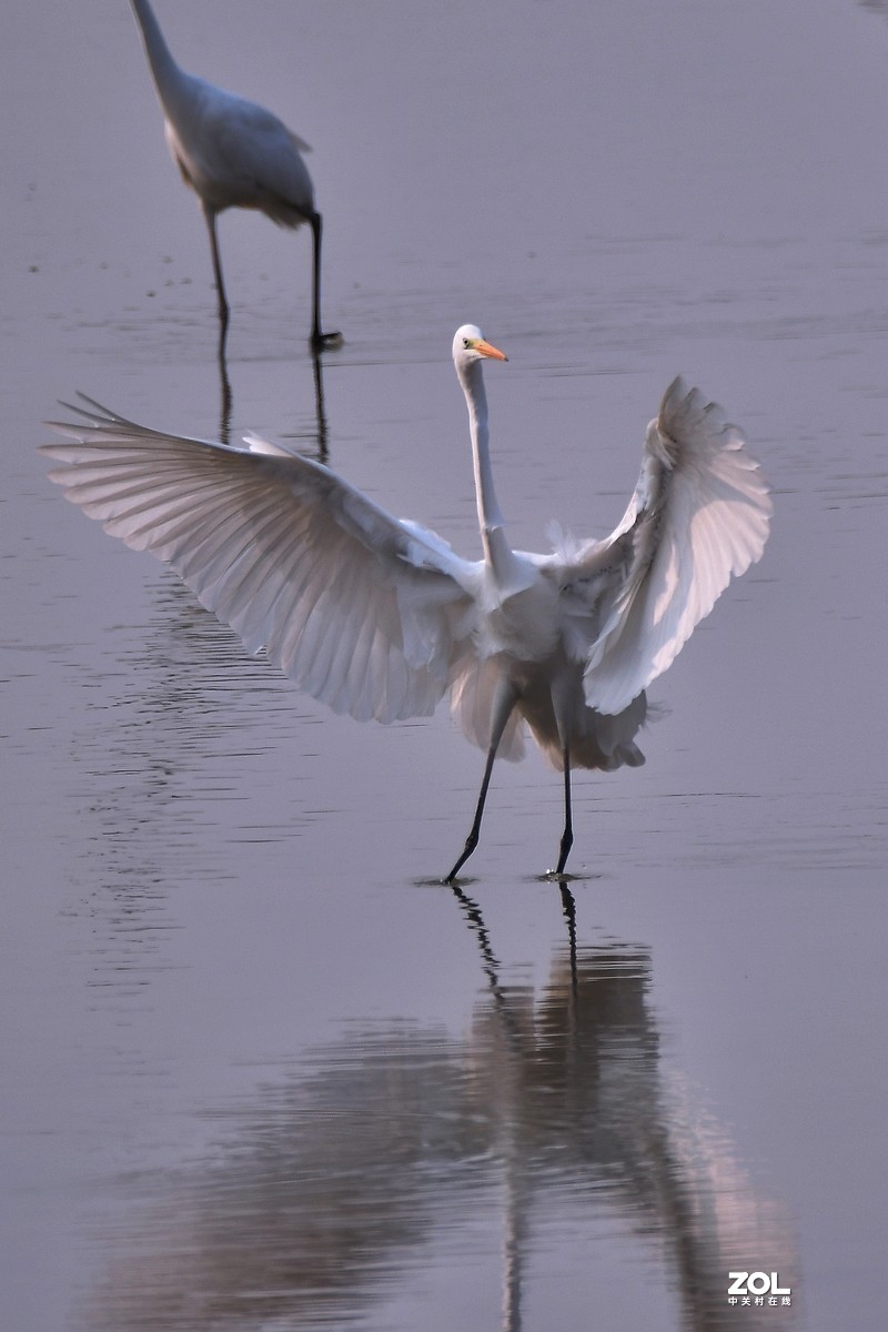 #版主坐堂#小五星空(中国)2020年12月精品荟萃