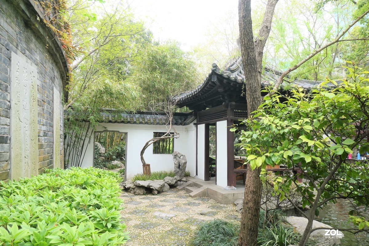 【八景图掠影】——摄于上海静安公园