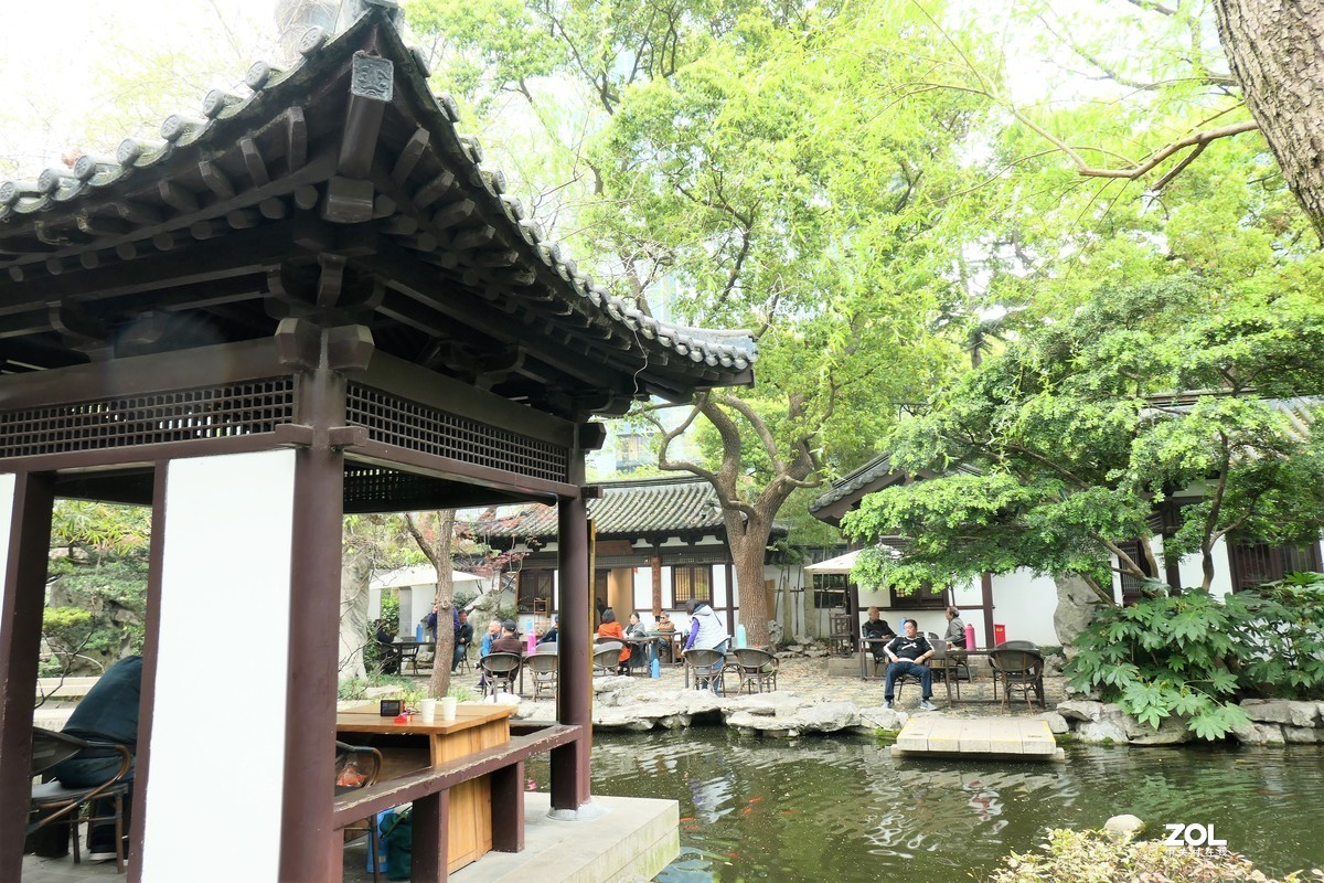 【八景图掠影】——摄于上海静安公园