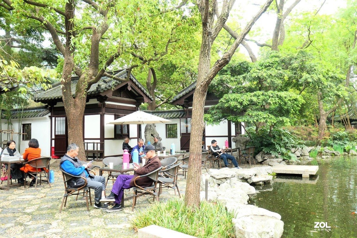 【八景图掠影】——摄于上海静安公园