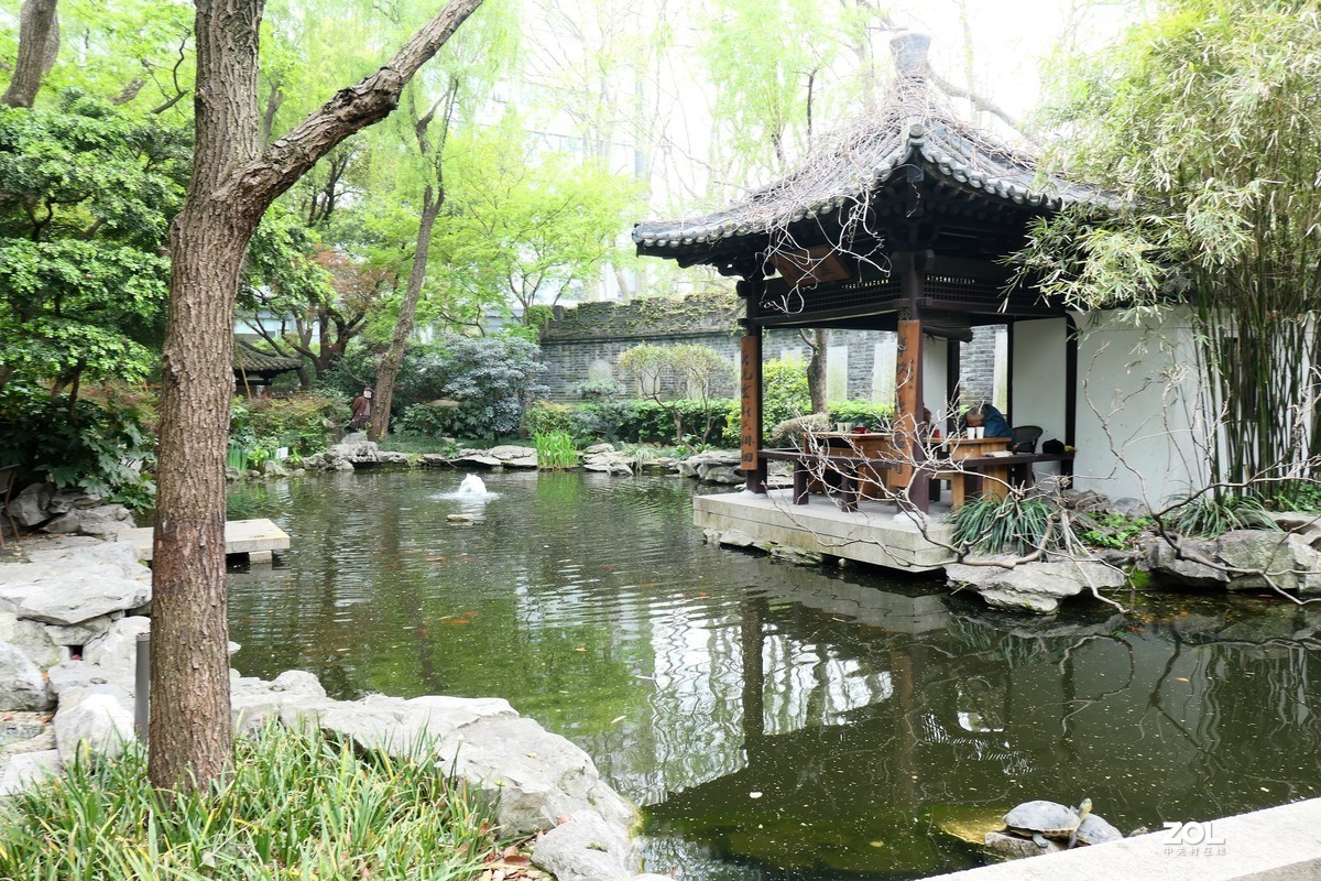 【八景图掠影】——摄于上海静安公园