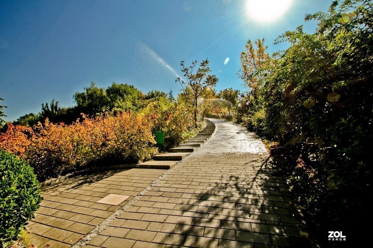 #版主坐堂#小五星空(中国)2020年12月精品荟萃