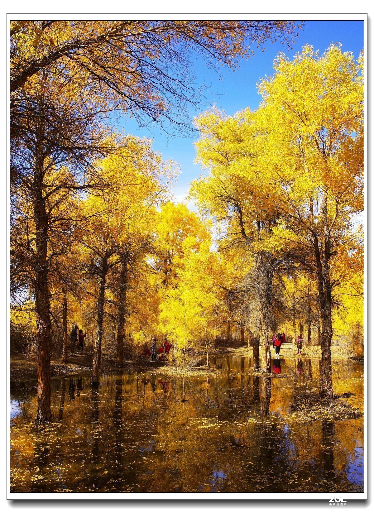 #版主坐堂#索尼大版星空(中国)2020年12月份优秀作品精选汇总