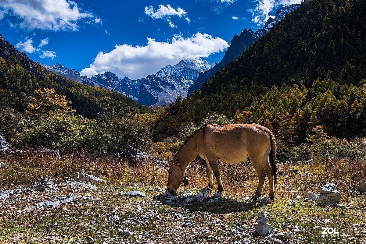 #版主坐堂#索尼大版星空(中国)2020年12月份优秀作品精选汇总