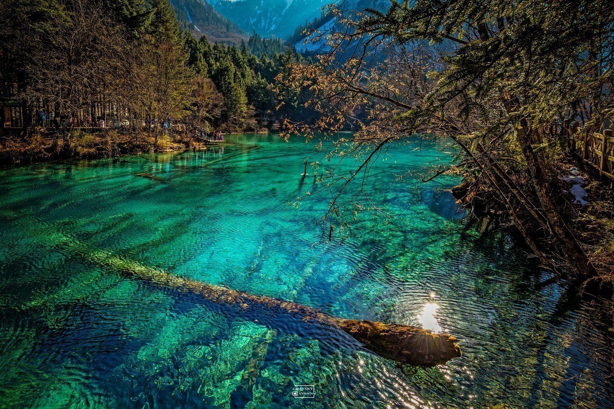 #版主坐堂#索尼大版星空(中国)2020年12月份优秀作品精选汇总